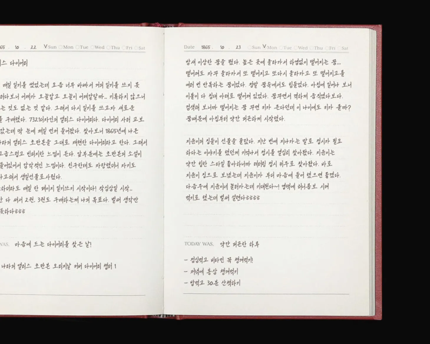Alice in Wonderland Daily Scheduler