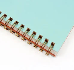 Anne with Red Hair Spiral Notebook