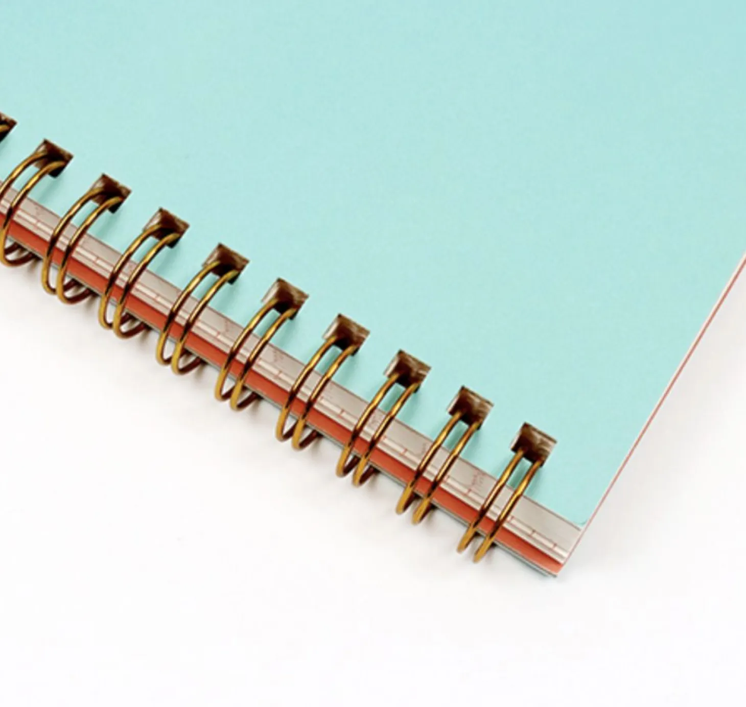 Anne with Red Hair Spiral Notebook