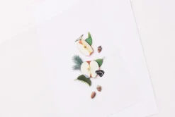 Apple Pressed Fruit Sticker