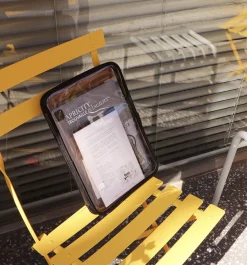 Apricity Lucid iPad Pouch