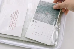 Apricity Lucid iPad Pouch