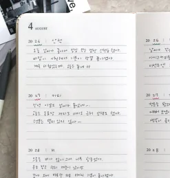Archive Me 3 Yr Daily Diary Planner