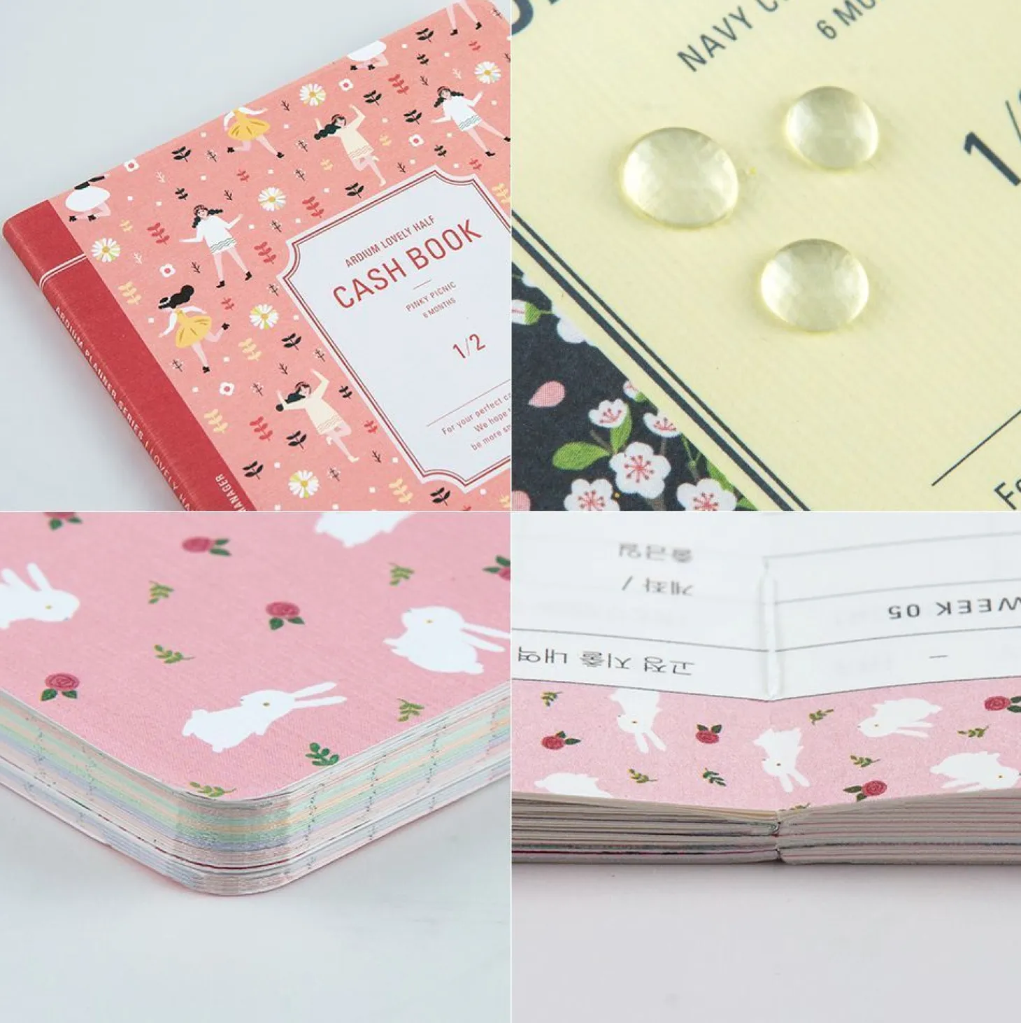 Ardium Semi Year Cash Book