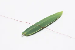 Bamboo Leaves Bookmark Pen