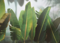 Banana Leaf Bookmark Pen