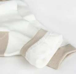 Basic Color Point Women Socks