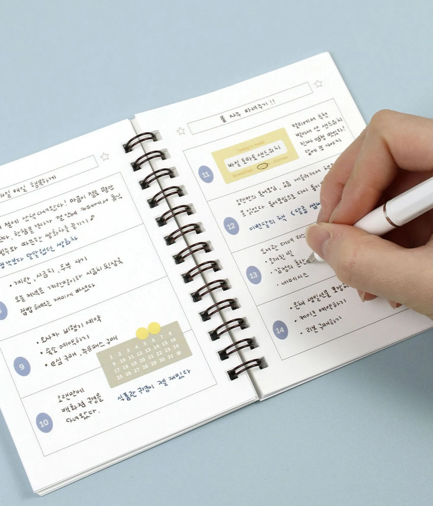 Bits and Pieces Mini Weekly Planner