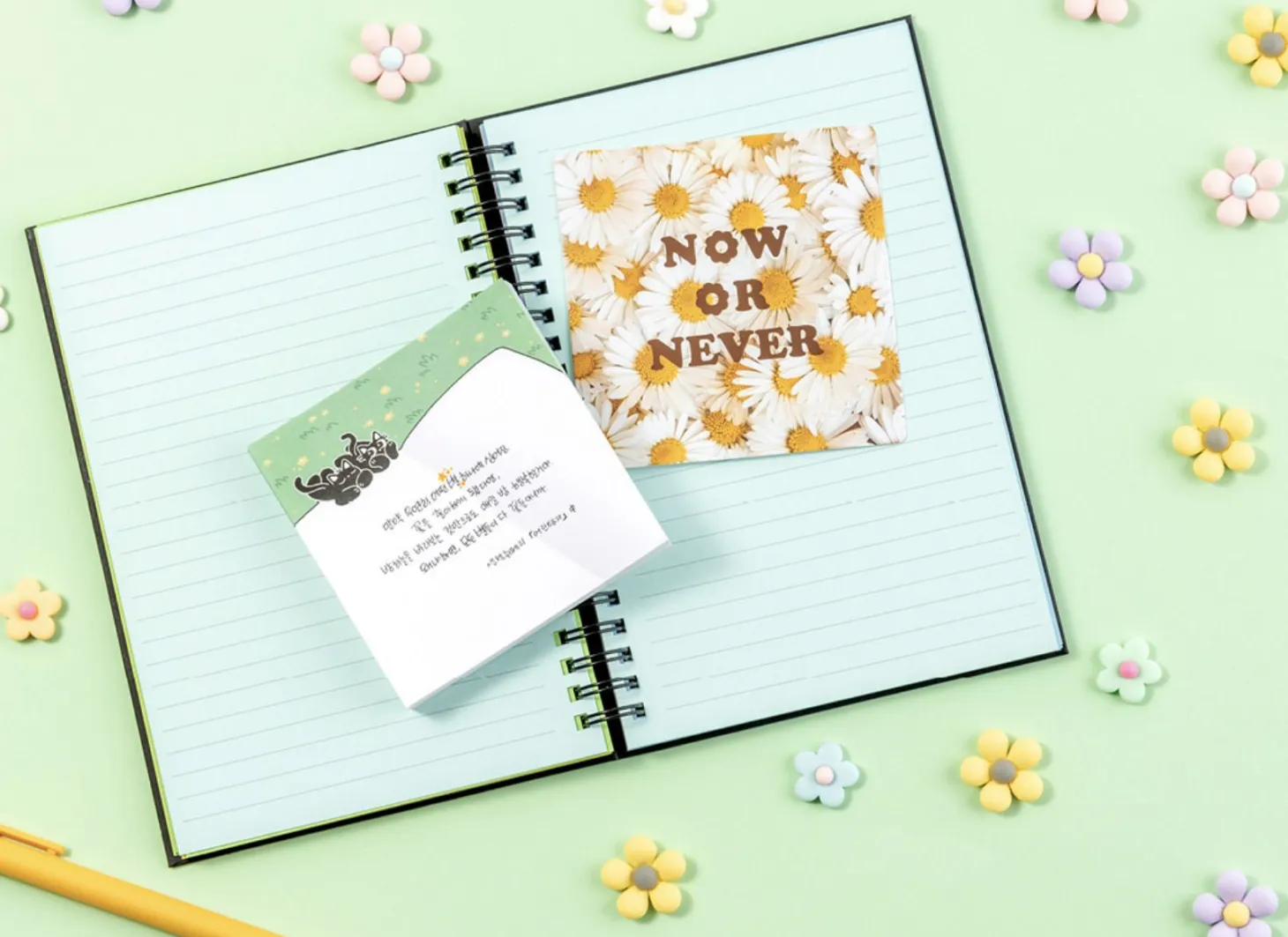 Black Cat Book Memo Pad