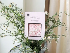 Blossom Deco Sticker Set v2
