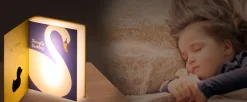 Book Lamp