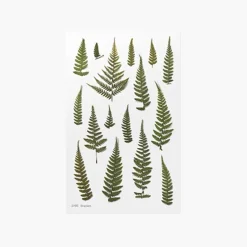 Bracken Pressed Flower Sticker