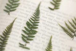 Bracken Pressed Flower Sticker