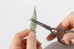 Bracken Pressed Flower Sticker