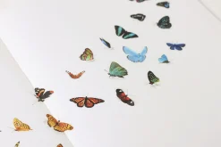 Butterfly Nature Sticker