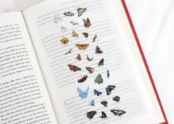 Butterfly Nature Sticker