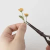 Calendula Pressed Flower Sticker