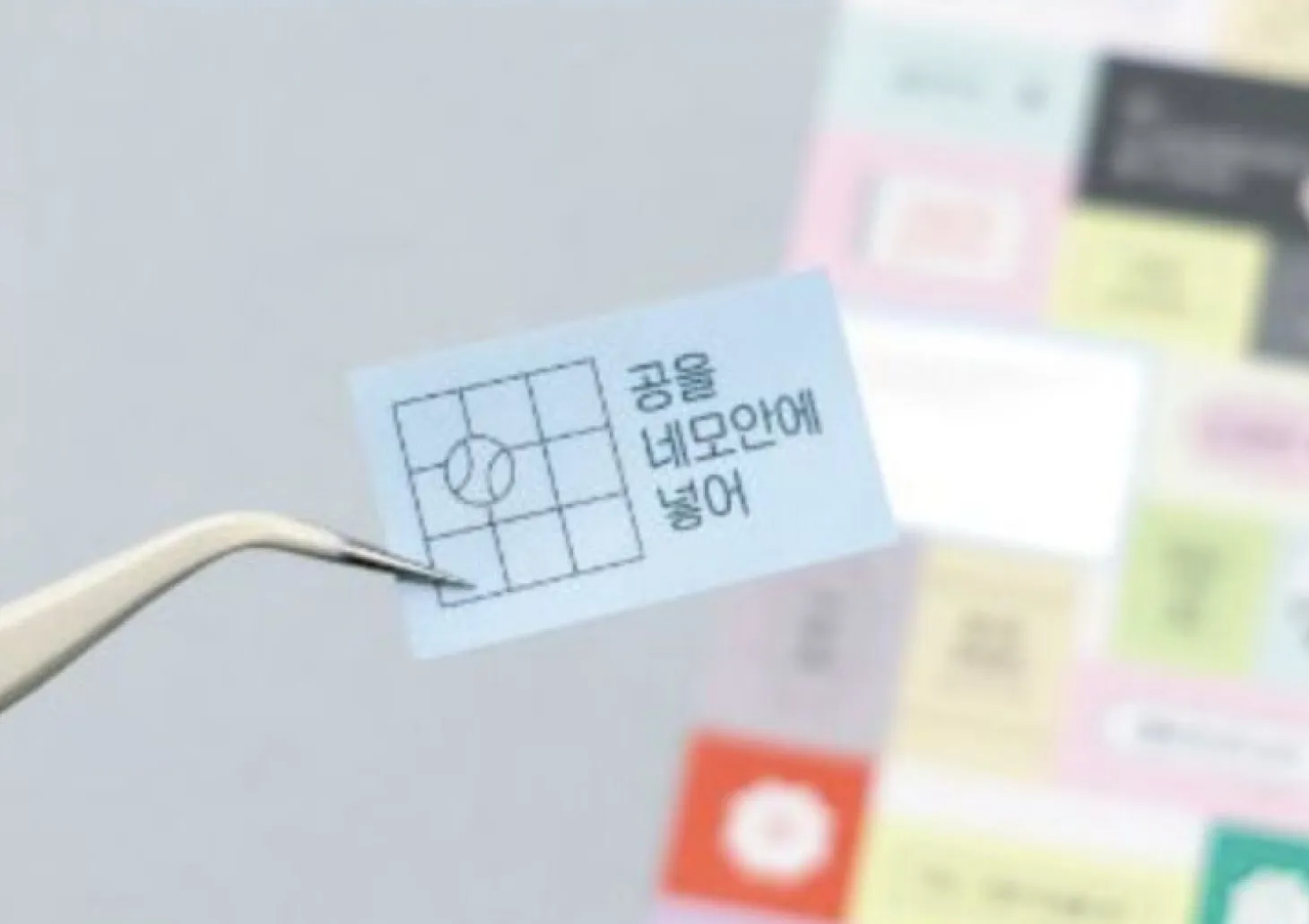 Catch Your Days Pocket Notebook