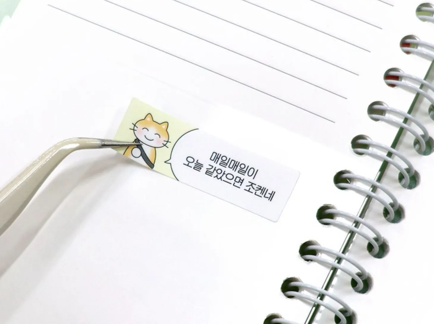 Catch Your Days Pocket Notebook