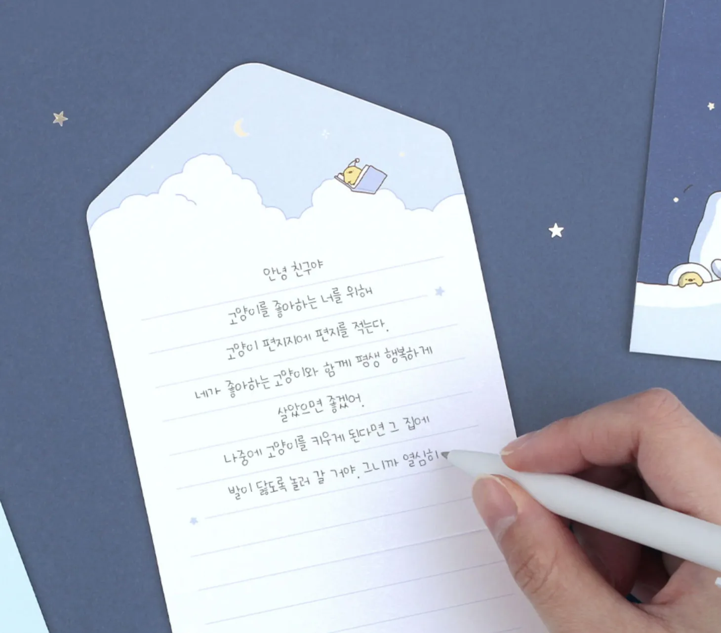 Ccoso Kitty Folding Card Set