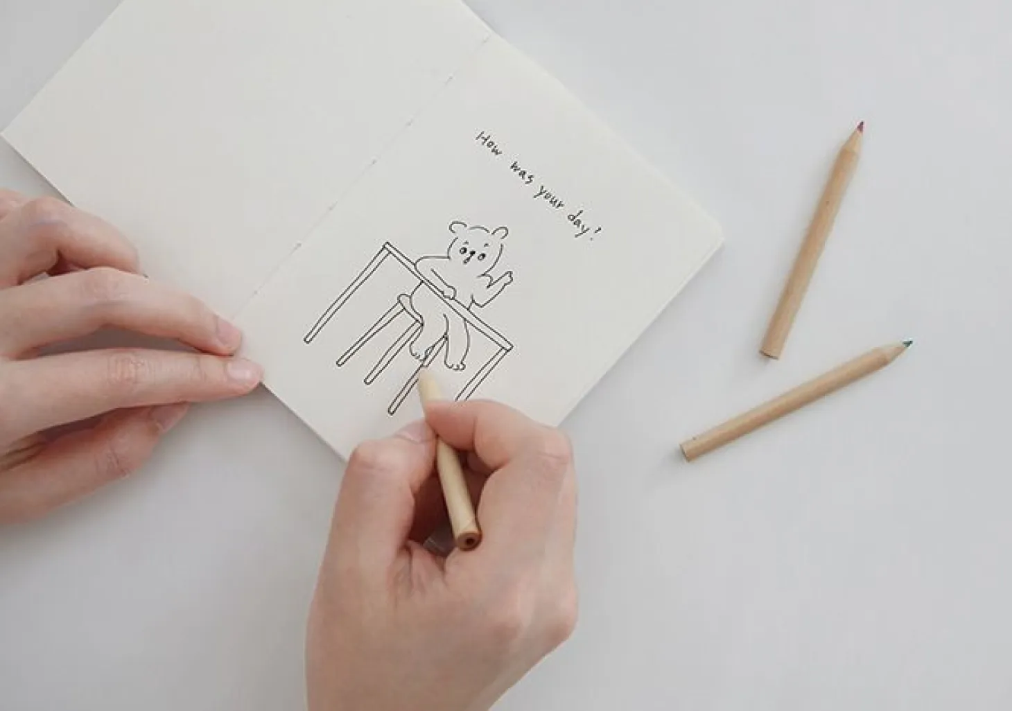Chalk Plain Notebook