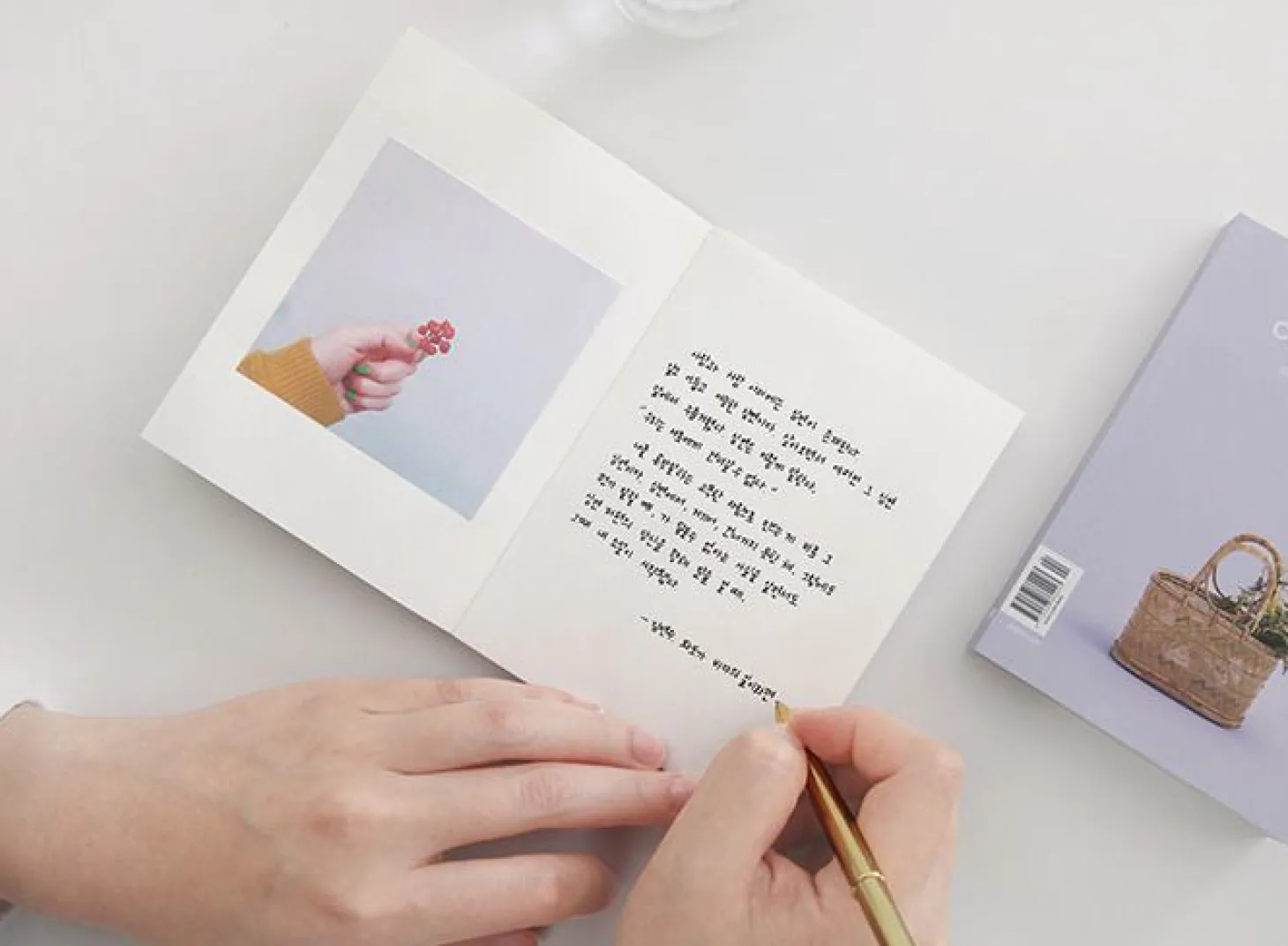 Chalk Plain Notebook