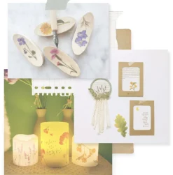 Cherry Blossom Pressed Flower Sticker
