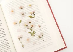 Cherry Blossom Pressed Flower Sticker