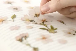 Cherry Blossom Pressed Flower Sticker