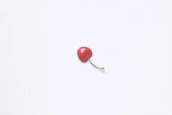 Cherry Pressed Fruit Sticker