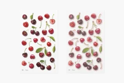Cherry Pressed Fruit Sticker