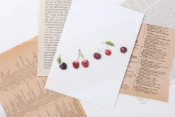 Cherry Pressed Fruit Sticker