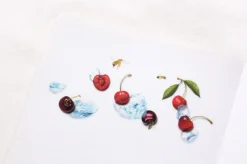 Cherry Pressed Fruit Sticker