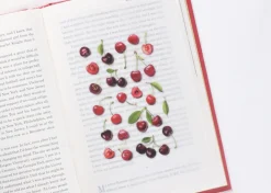 Cherry Pressed Fruit Sticker