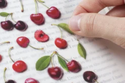 Cherry Pressed Fruit Sticker