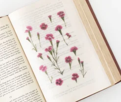 China Pink Pressed Flower Sticker