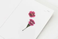 China Pink Pressed Flower Sticker