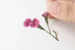 China Pink Pressed Flower Sticker