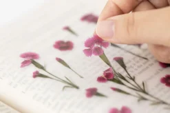 China Pink Pressed Flower Sticker