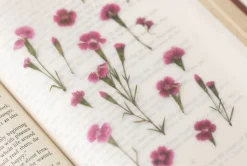 China Pink Pressed Flower Sticker