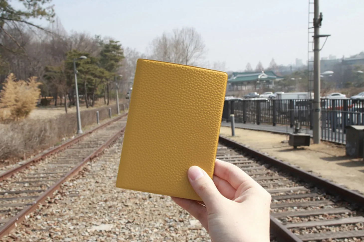 Classic Anti Skimming Passport Case