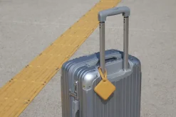 Classic Belted Luggage Tag