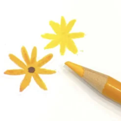 Colored Pencil Drawing Flower Sticker