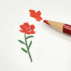 Colored Pencil Drawing Flower Sticker