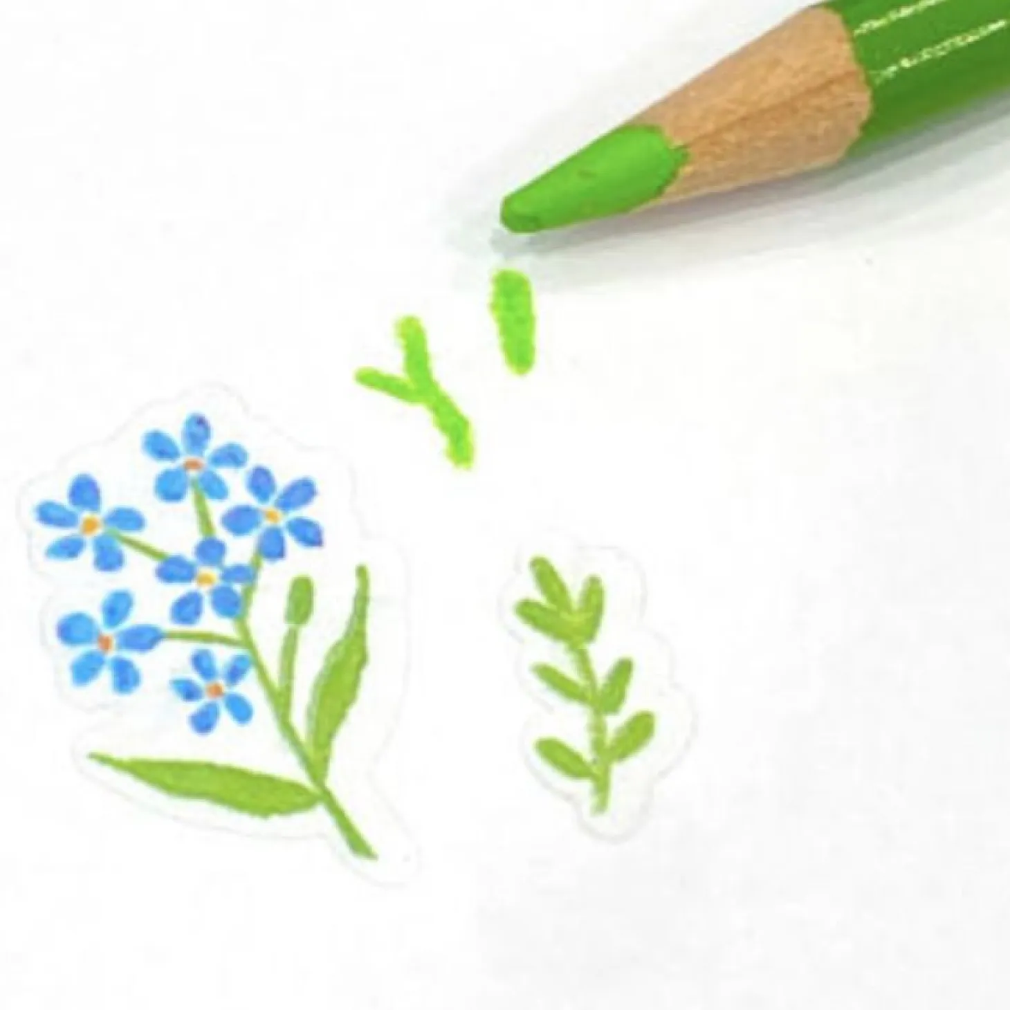 Colored Pencil Drawing Flower Sticker
