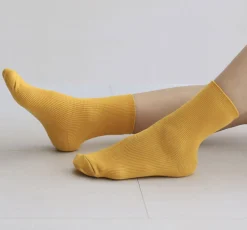 Colorful Ribbed Crew Women Socks