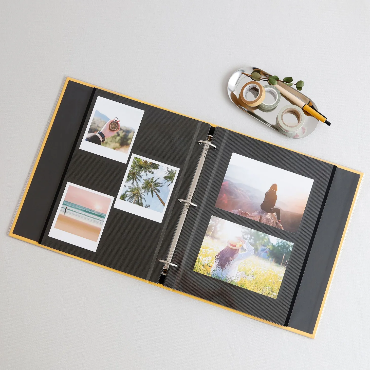 Colorful 3 Ring Binder