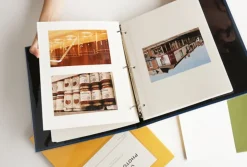 Colorful 3 Ring Binder