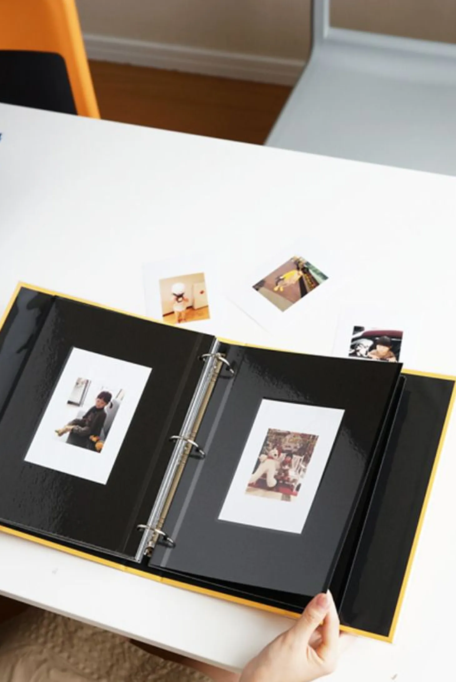 Colorful 3 Ring Binder