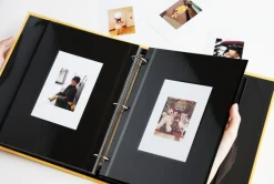 Colorful 3 Ring Binder